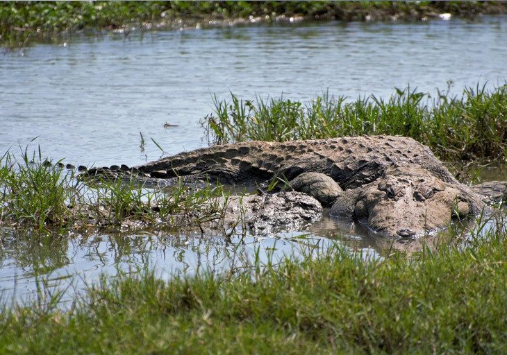 Bundala-National-Park.jpg