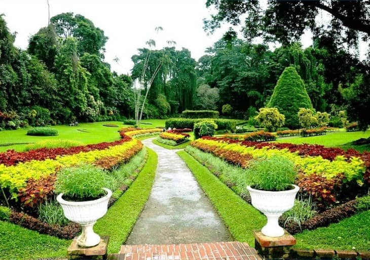 Perandeniya-Botanical-Gardens.jpg