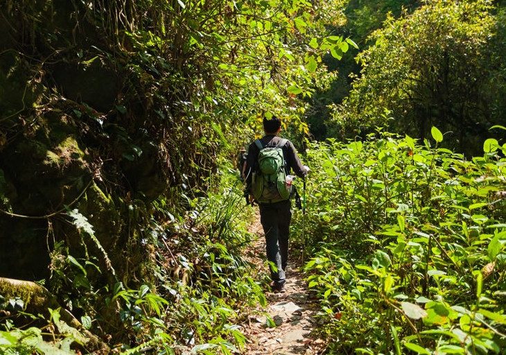 Trekking-in-Sinharaja.jpg