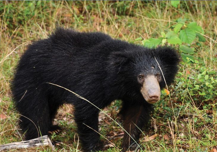 Wasgamuwa-National-Park.jpg